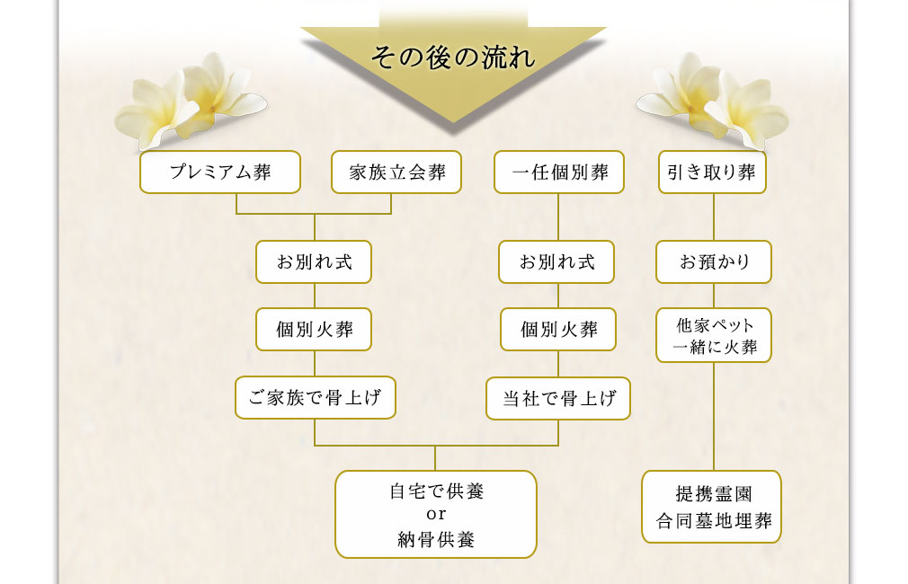 �y�b�g���ʂ�/�Α�/�����̗���