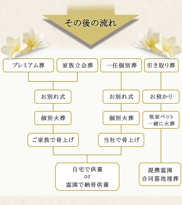 その後のペット葬儀の流れ